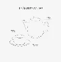 0,8L.webp