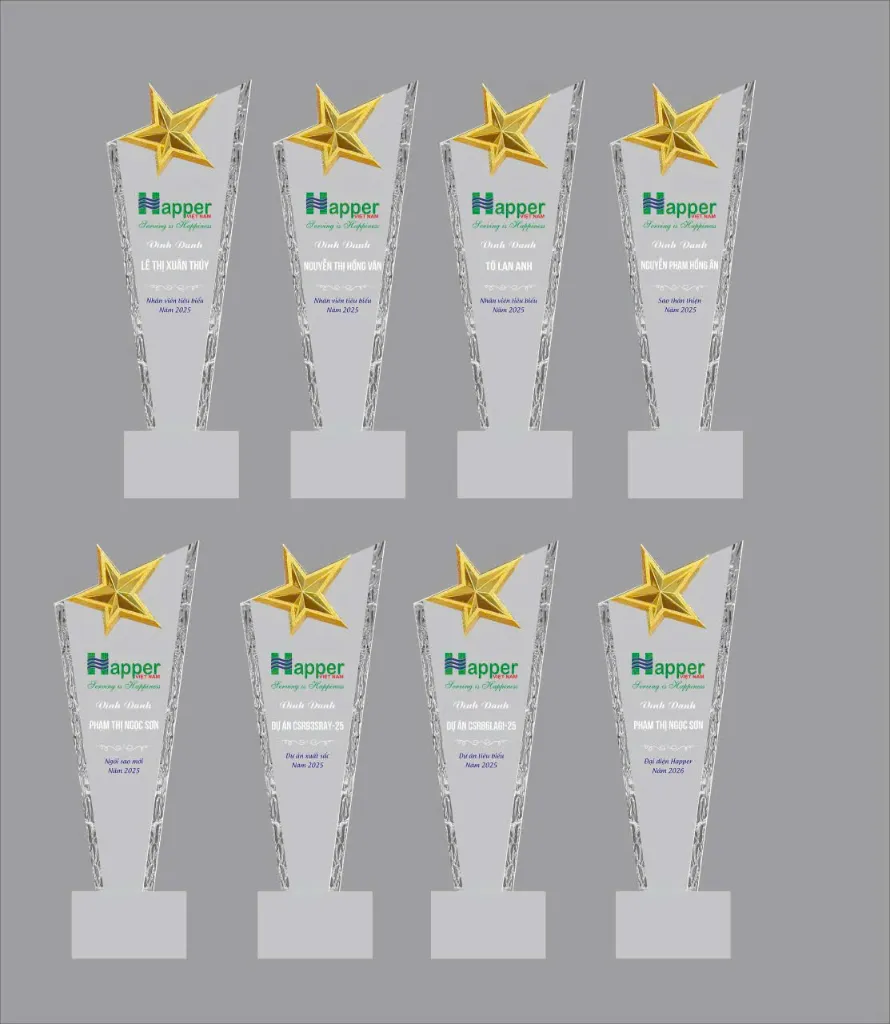 kỷ niệm chương ngôi sao 3.webp