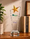 kỷ niệm chương ngôi sao 1.webp