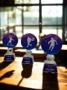 Kỉ Niệm Chương Pha Lê Pickleball