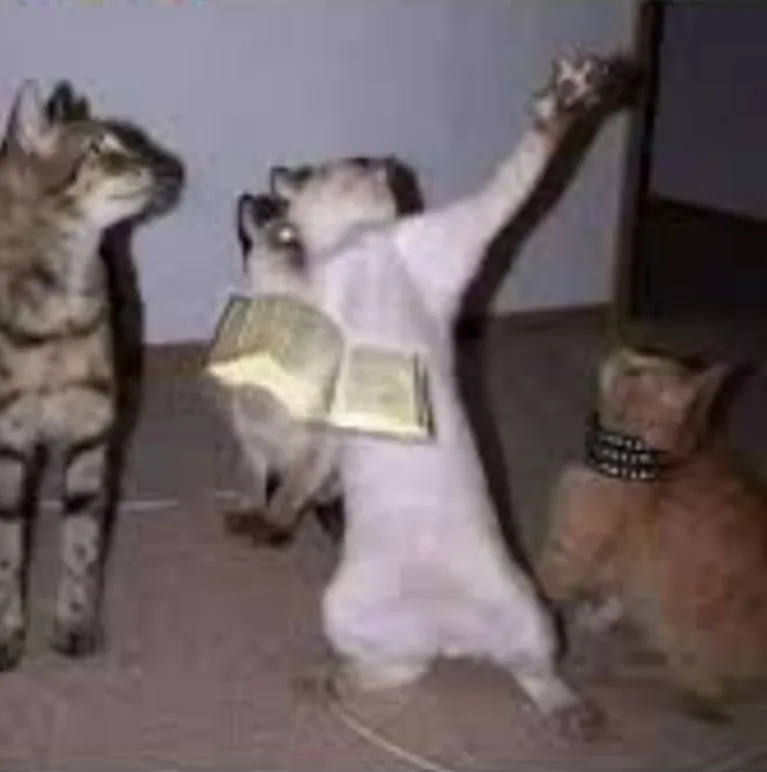 Hình ảnh Động vật